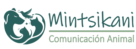 Mintsikani · Comunicación animal